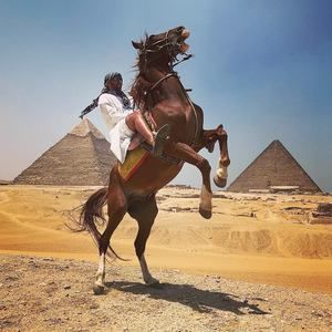 Meet your Posher, Peter